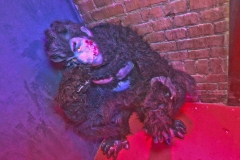 20171028_JollyTime_Party_tis-053