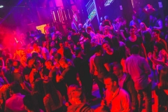 ETZ_8686 ETZ_8686